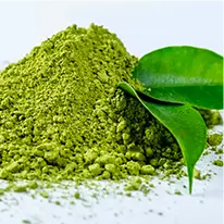 javaburn ingredients theanine